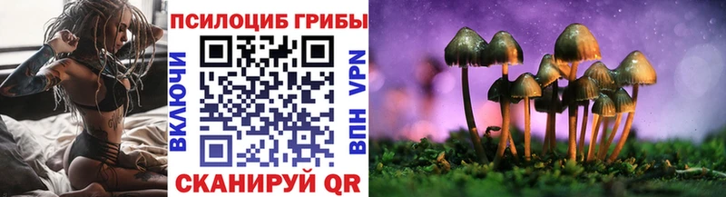 маркетплейс Telegram  Таштагол  Псилоцибиновые грибы мухоморы 